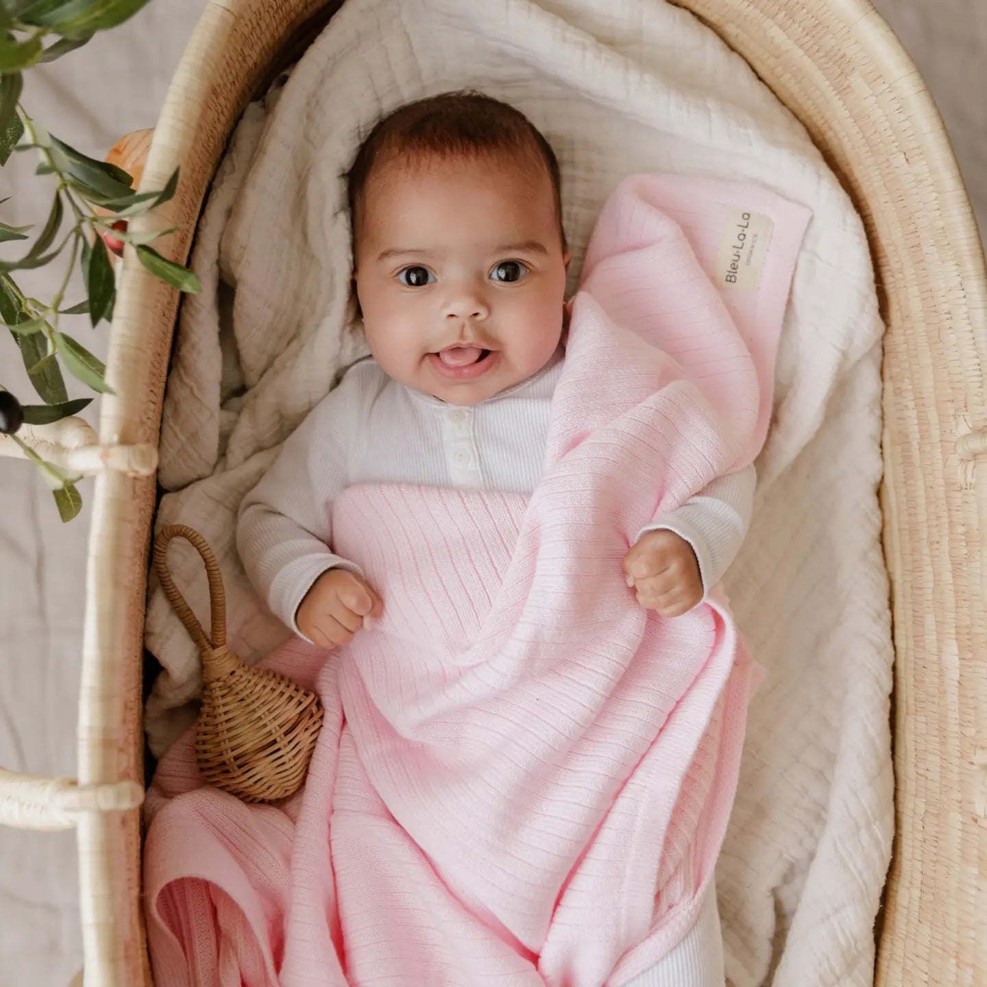 Baby wrapped in a pink blanket in a crib with a plant in the corner
